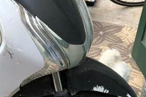 Ruota anteriore honda sh abs