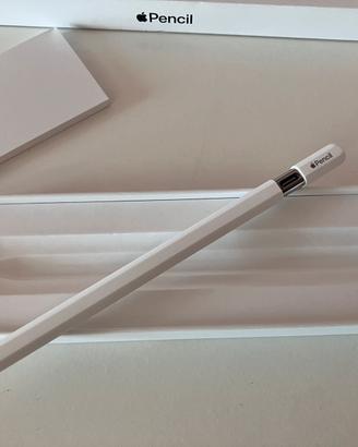 Apple Pencil USBC COME NUOVA IN GARANZIA