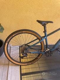 Bici uomo mountain bike