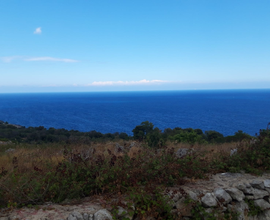 Pagliara vista mare