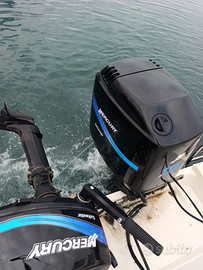 Motore Mercury 115 elpto