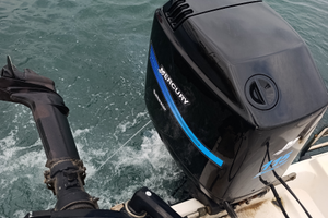 Motore Mercury 115 elpto