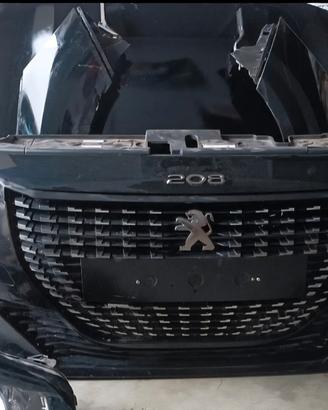 Musata completa Vari Ricambi 