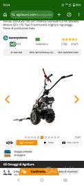 Motofalciatrice Eurosystems Modello GMP 210H bilam