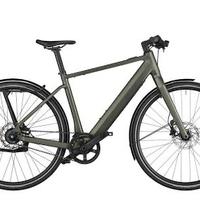 Ebike Riese & Muller