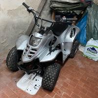 Quad 110cc