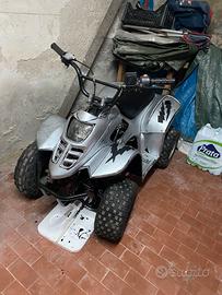 Quad 110cc