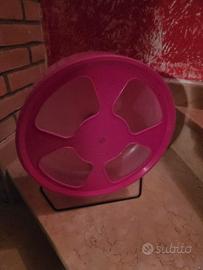 Ruota Trixie per riccio africano