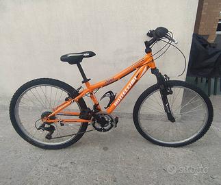 Bicicletta da mtb