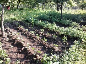 Terreno Agricolo con Deposito accatastato