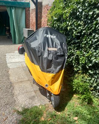 scooter suzuki 250 burgman 