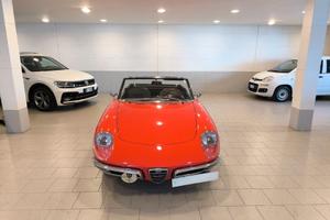 Alfa Romeo Spider