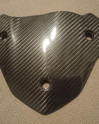 Parti in carbonio per BMW S1000 R 2017