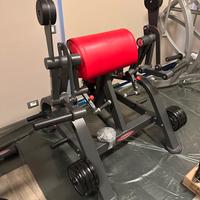 Panatta – Alternate Curling Machine (Bicipiti)