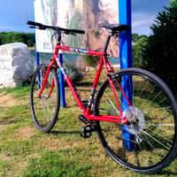 🔴 Bianchi 