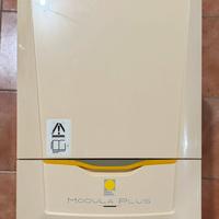 PARADIGMA DOMINA PLUS 35C