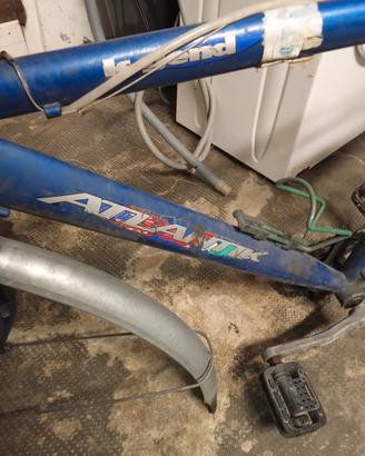 telaio bicicletta uomo 