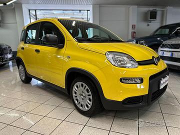 FIAT Panda 1.0 FireFly Pandina IVA ESPOSTA