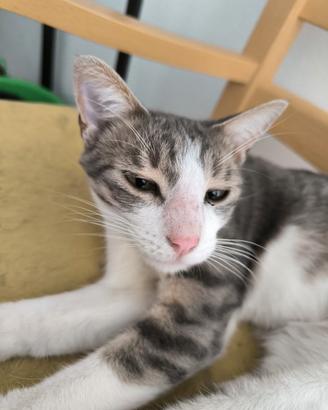 Due fratellini di un anno maschio e femmina