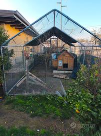 recinto per galline più pollaio