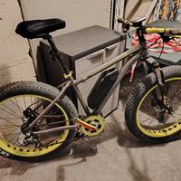 Bicicletta Elettrica 