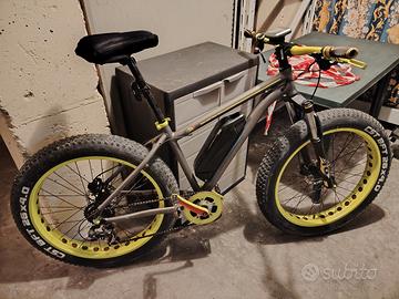 Bicicletta Elettrica 