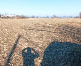 Terreno agricolo corpo unico