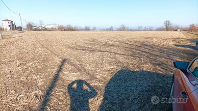 Terreno agricolo corpo unico