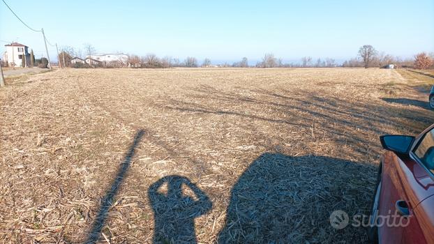 Terreno agricolo corpo unico