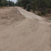 Terreno seminativo Andria