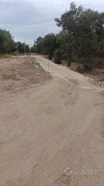 Terreno seminativo Andria
