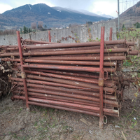 Puntelli croce e piastra