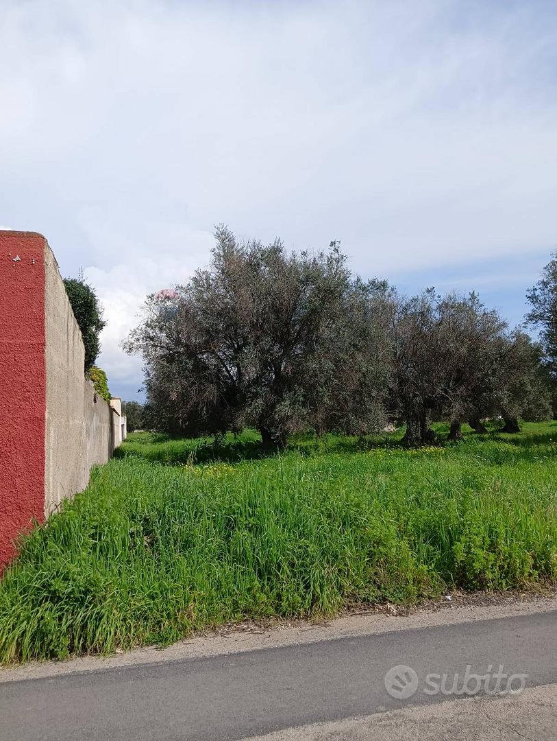 Terreno Edificabile - Monteparano - Vista 3