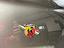 Immagine 5
