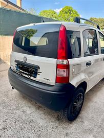 Panda Van