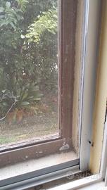 5 Zanzariere a rullo in alluminio complete di rete