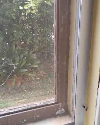 5 Zanzariere a rullo in alluminio complete di rete