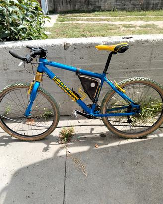 bicicletta 