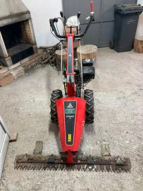 Falcetta Diesse Garden 3 motore 4 tempi