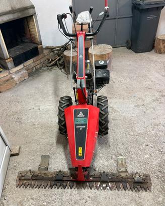 Falcetta Diesse Garden 3 motore 4 tempi