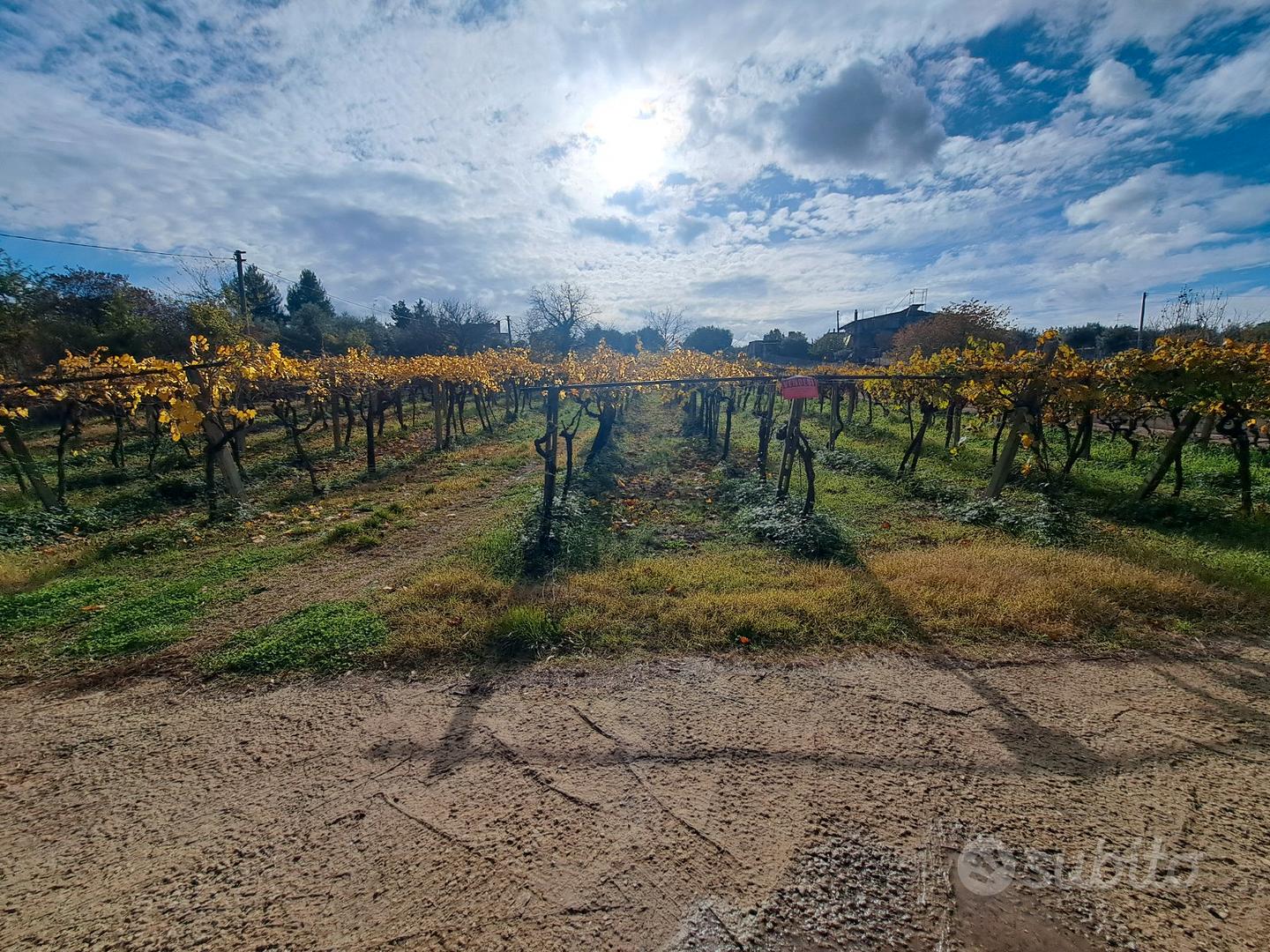 Terreno agricolo - Vista 3