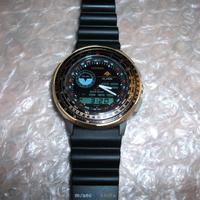 Citizen vintage 8945 Wingman- Mega Rare- Nos.
