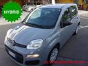 fiat-panda-1-0-firefly-s-s-hybrid
