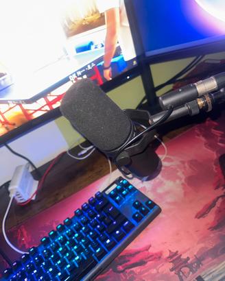 Shure SM7B + GOXLR mini