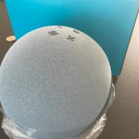 Echo (4a generazione) Alexa Grande