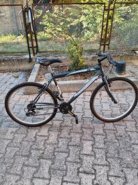 Bici da uomo