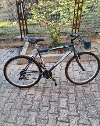 Bici da uomo