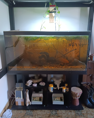 Acquario 350l