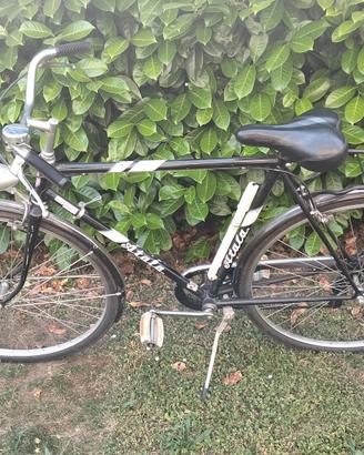 Bicicletta Uomo Atala
