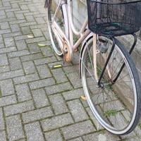 bicicletta da donna 